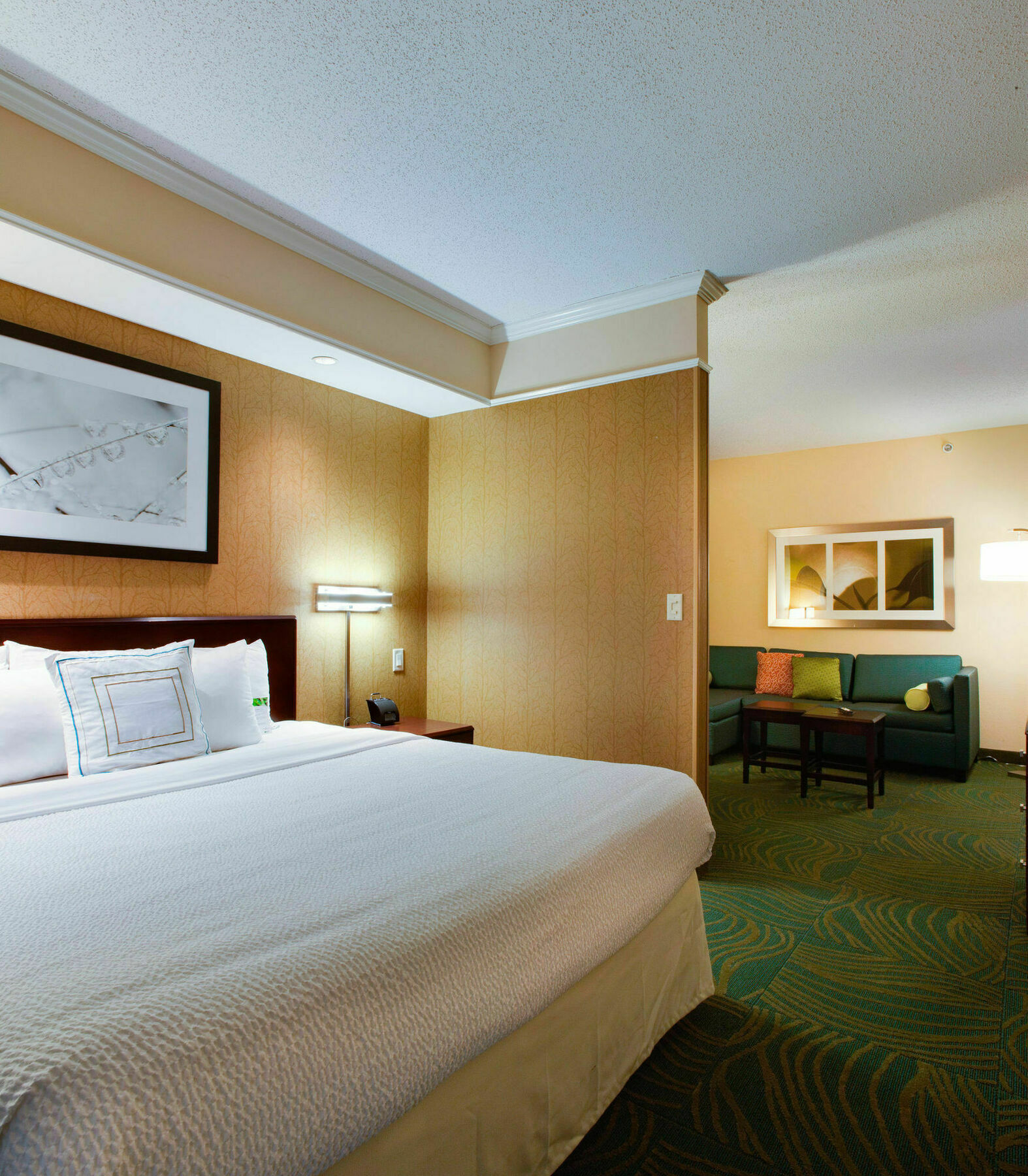 Springhill Suites By Marriott Savannah I-95 South Georgetown Ngoại thất bức ảnh